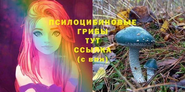 MDMA Premium VHQ Алзамай