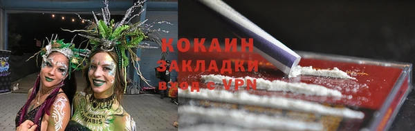 ГАЛЛЮЦИНОГЕННЫЕ ГРИБЫ Покров