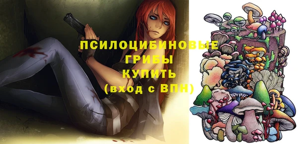 дурь Алексеевка